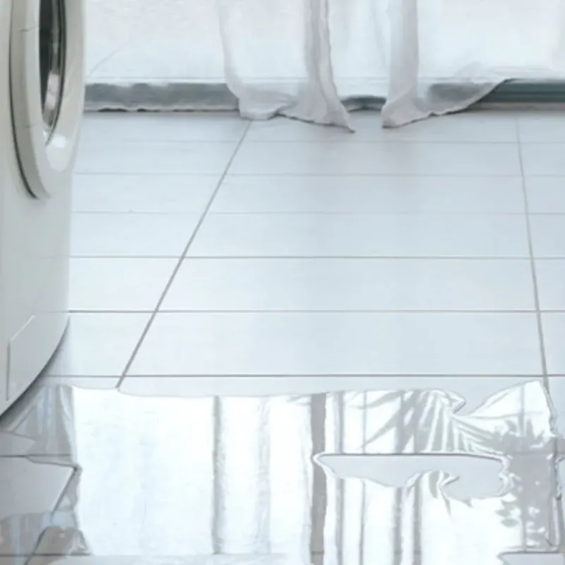 Appliance Leak Cleanup in Eagle Mountain, TX