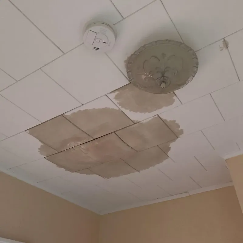 Ceiling Water Damage Repair in Eagle Mountain, TX